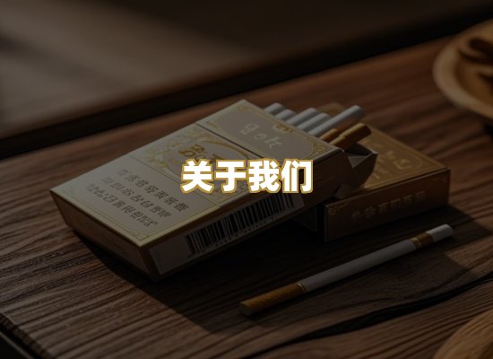 关于我们